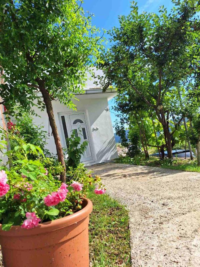 Apartman Glorija Котор Экстерьер фото